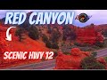 Red Canyon - Scenic HWY 12 - Bryce Utah