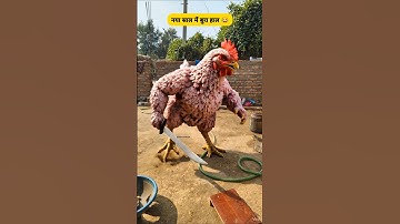 नया साल में बुरा हाल #funny #comedy #thetharpuns #shilpisaroja