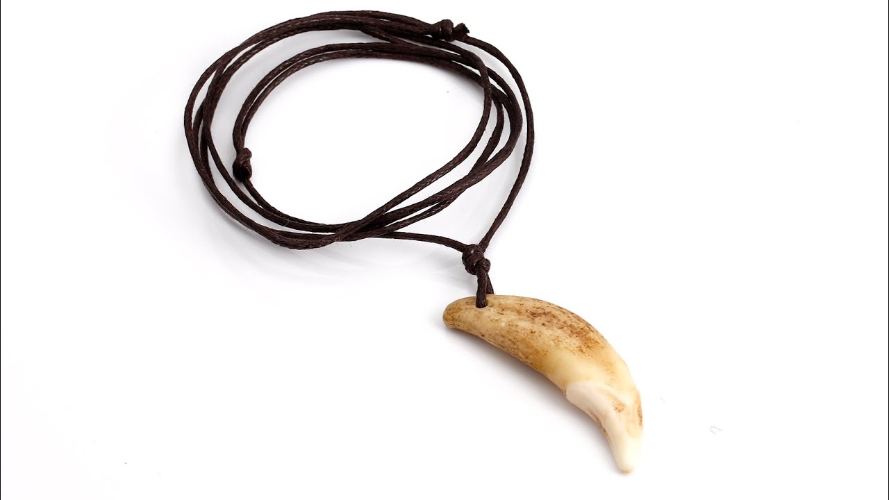 Black Leather Dark Blue Wolf Tooth Necklace (N793) | Palm Harbor Woodcrafts