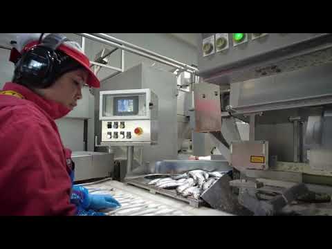 Hollandse Nieuwe...uit Noorwegen.