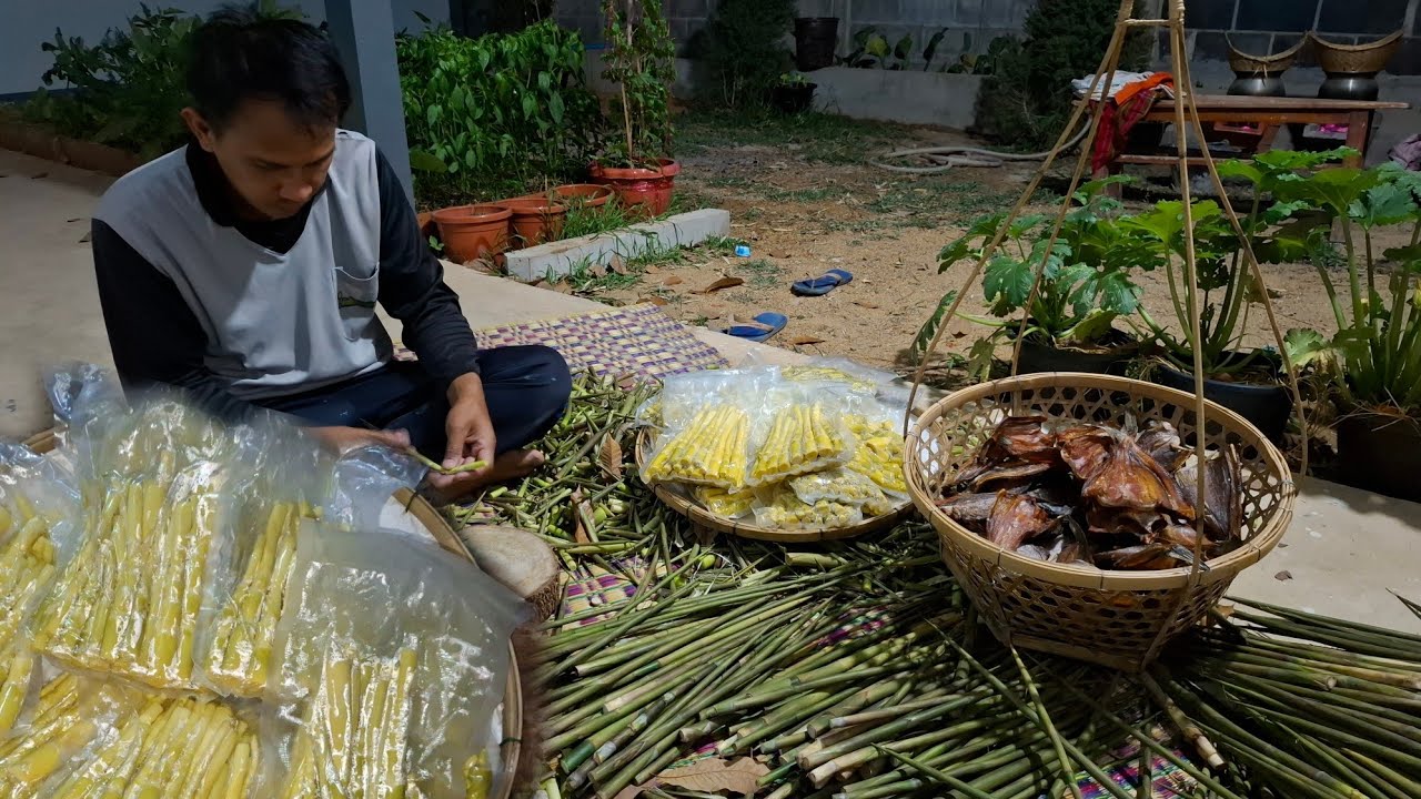 ไม่ได้หลับได้นอนอีกแล้ว วันนี้ทำหน่อไม้อัดถุง อบปลาช่อนแห้งสุดแซ่บทั้งคืน มาชมกันเลยครับ 21/ก.พ/69