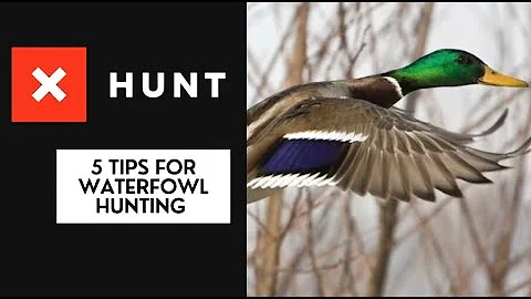 onX Tutorial: 5 Tips for Waterfowl  Hunting