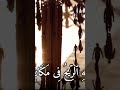 ومن يعظم شعائرالله فانها من تقوى القلوب مقام دوكاه سورة حج القارئ سعيد طوسي   
