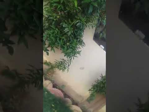 ١٢ يونيو ٢٠٢٢