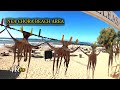 Crete Virtual tour in Nea Chora Beach in Chania of Crete -Greece | Season Driver