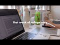 first week of college study vlog + more shop updates :)