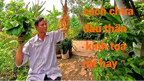 4 bài thuốc điều trị đau thần kinh tọa cực kì hiệu quả