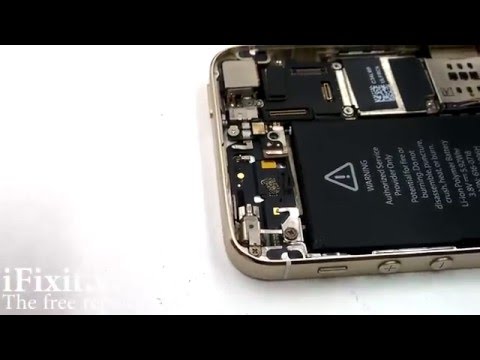 Hướng Dẩn Thay Cụm Rung Iphone 5s