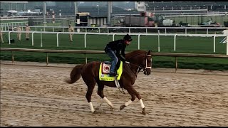 Longshot to Champion: Rich Strike at the Kentucky Derby