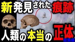 【衝撃】人類の本当の祖先は猿人ではなかった！？新発見された驚きの人種との関係とは【総集編】