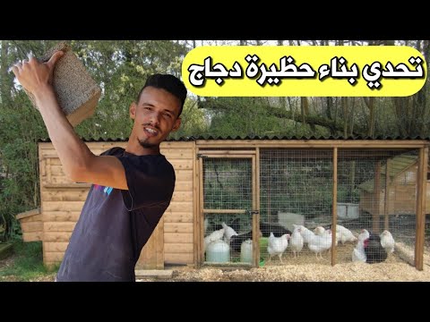 تحدي بناء حضيرة الدجاج البياض بالإمكانيات المتوفرة في مزرعتي فقط 😯