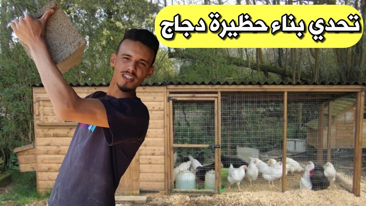 تحدي بناء حضيرة الدجاج البياض بالإمكانيات المتوفرة في مزرعتي فقط 😯 -  YouTube