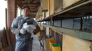 Таджикистан, отправка и отзыв о ферме кроликов "Моряк"