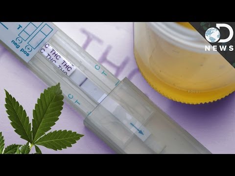 Thumbnail for the embedded element "How Accurate Are Drug Tests?"