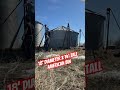 Takedown on an American grain bin #grainbin #silo #takedown