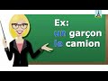 تعليم الفرنسية للمبتدئيين..الجنس (ذكر أو أنثى)..Le genre (masculin ou fé...