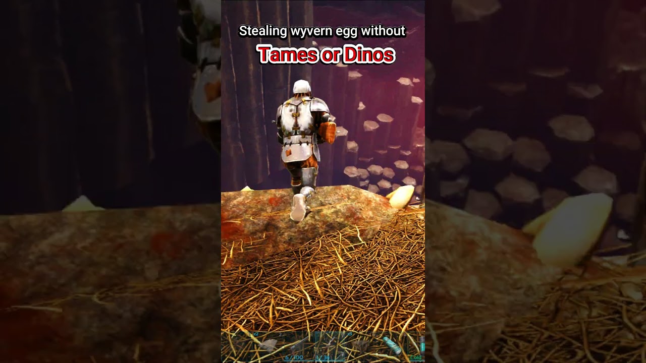 Challenge: STEAL WYVERN EGG WITHOUT TAMES 