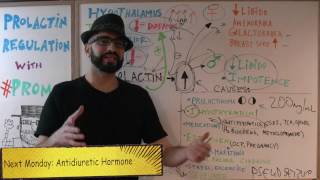 Prolactin Regulation - Endocrine #2 // Med School Mondays with #PROMO
