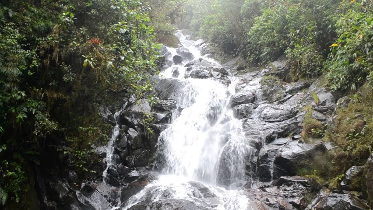 pila laguna pila laguna