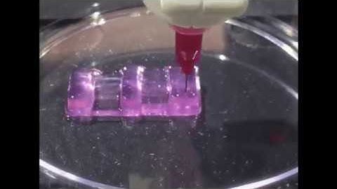 Bioprinting with Biogelx™-INK-S and BioAssemblyBot®