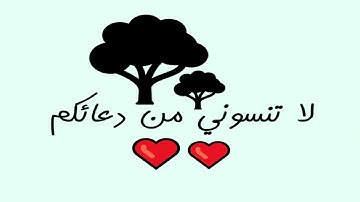 ما تيسر من سورة آل عمران 5 مصحف فيصل الرشود من تراويح رمضان 1433 المصحف 21 تلاوات خاشعة