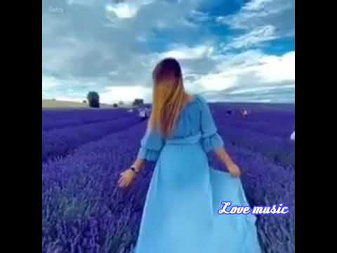 نطرتك انا ندهتك انا رسمتك على المشاوير يا هم العمر يا دمع الزهر يا مواسم العصافير فيروز