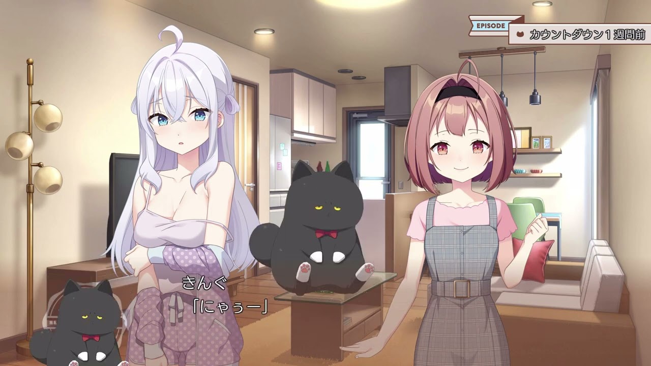 ネコと女子寮せよ タペストリー ネコと女子寮せよ! アマゾン 特典 B2布ポスター CUBE タペストリー　美品 