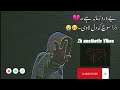 Be Dard Zamana He Zara Soch Ke Dil Lawin|Slowed Reverb |Latest Saraiki Song