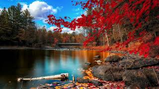 Autumn Wallpapers screenshot 5