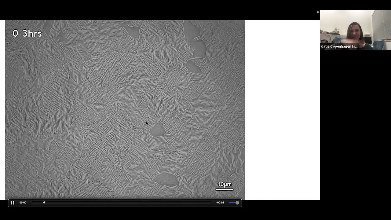 Katherine Copenhagen | Topological defects drive layer formation in gliding bacteria colonies