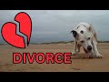 The untold victim of divorce