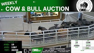 4/29/2024  OKC West Weekly Cow & Bull Auction