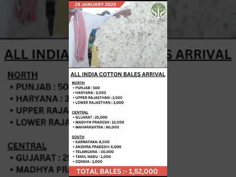 28/01/2025 सम्पूर्ण भारत की कपास की आवक || All India cotton arrival today #kapas #arrival #cotton