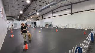 Dottie and Jo Virtual Rally Novice Course #3