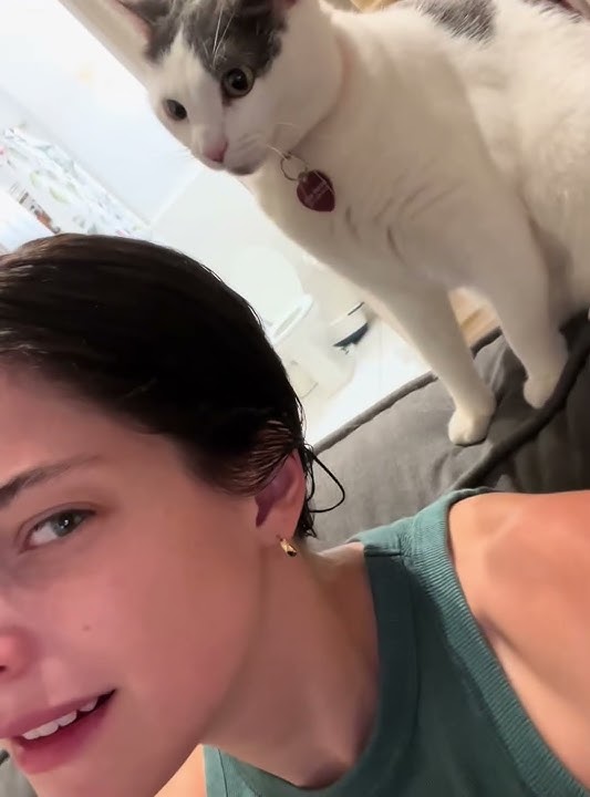 When you have an emotionally unstable cat...#fyp #cat #cats #catlover #funny #for #pet #foryou