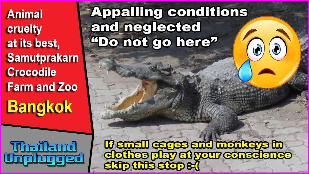 Samutprakan Crocodile Farm And Zoo Bangkok Destimap Destinations On Map