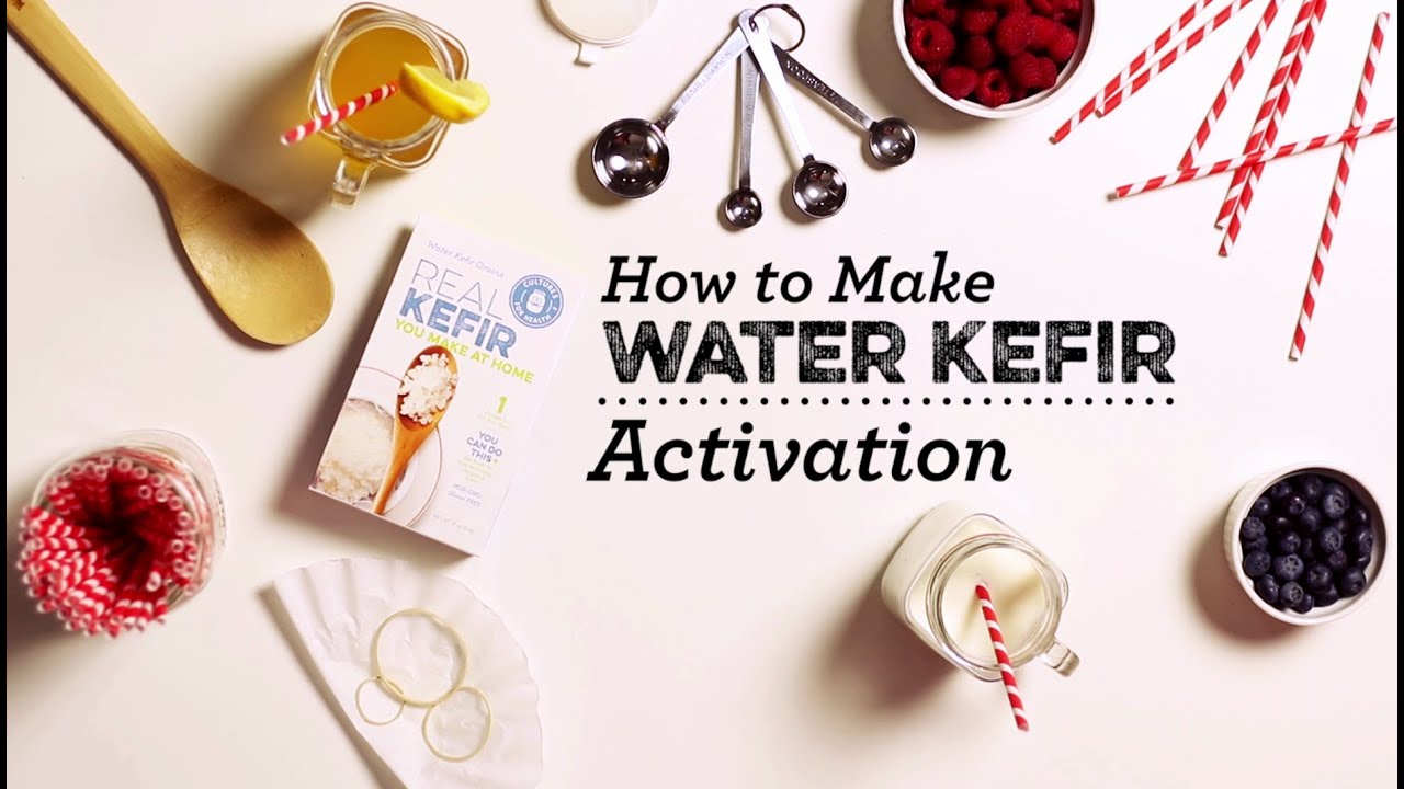 How to Make Activate Water Kefir Grains with a Kefirko! If you're using  water kefir grains that have been sent to you by mail (fresh or hydrated),  or, By Kefirko UK