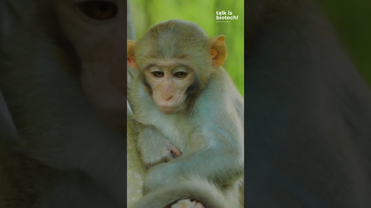 Is drug testing cruelty-free?