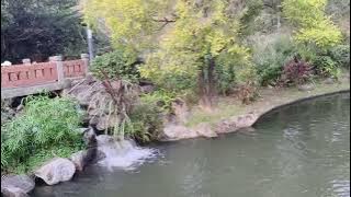 Ada apa dengan jariku buk😲#shatinpark#jalanjalantkwhk