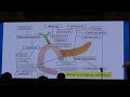 Pancreatic fistula prevention