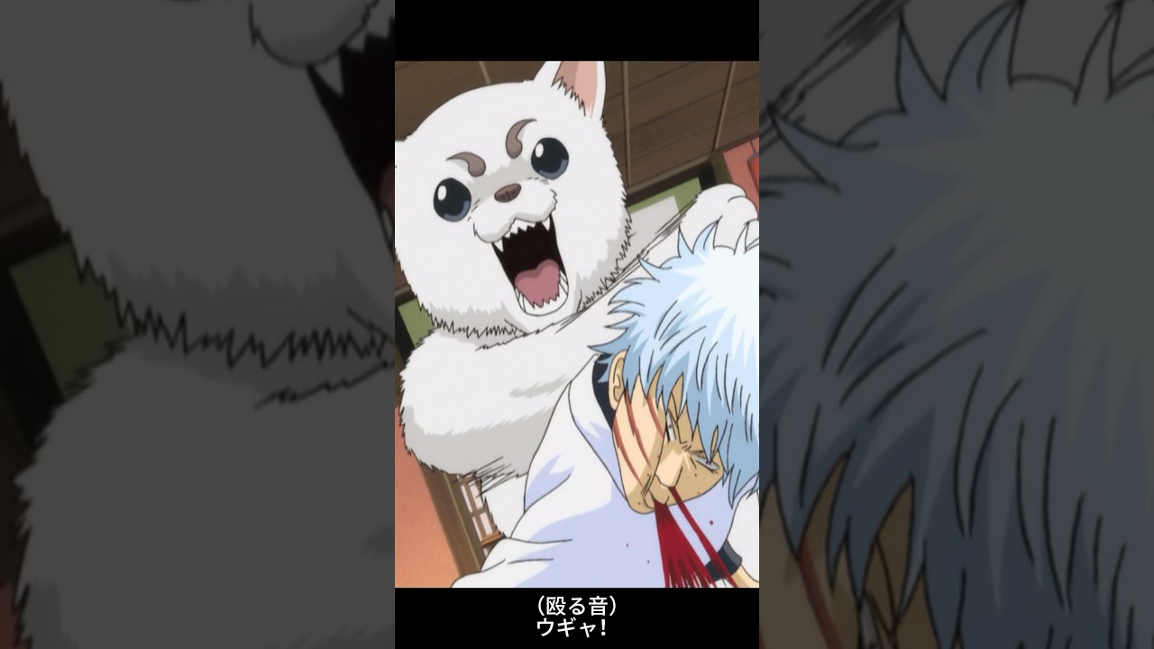 ＊ゴンタくん＊ YouTube