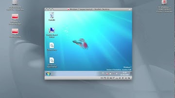 Parallels Desktop 4.0 (Mac OS X / Windows 7)