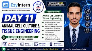 Day 11: Animal Cell Culture & Tissue Engineering | EzyIntern UGC Internship Program