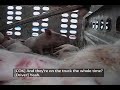 US Transport Investigation