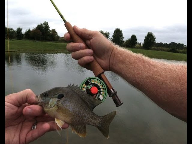 MaxCatch Ultra Light, 3 weight Fly Rod and Reel. 🎣 