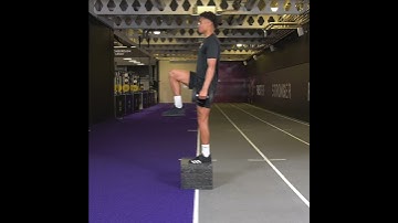 DB Step Up with Knee Drive
