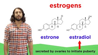 Lipids Part 2: Steroids