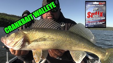 Cranking up some Walleye with Lead-core!