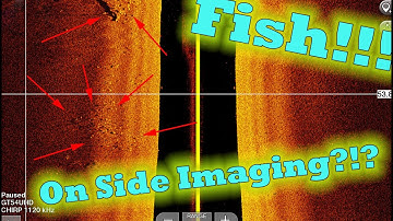 Fish On Side Imaging!!! what they look like!!