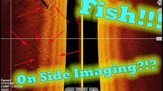 Fish On Side Imaging!!! what they look like!!